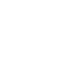 Professional Service